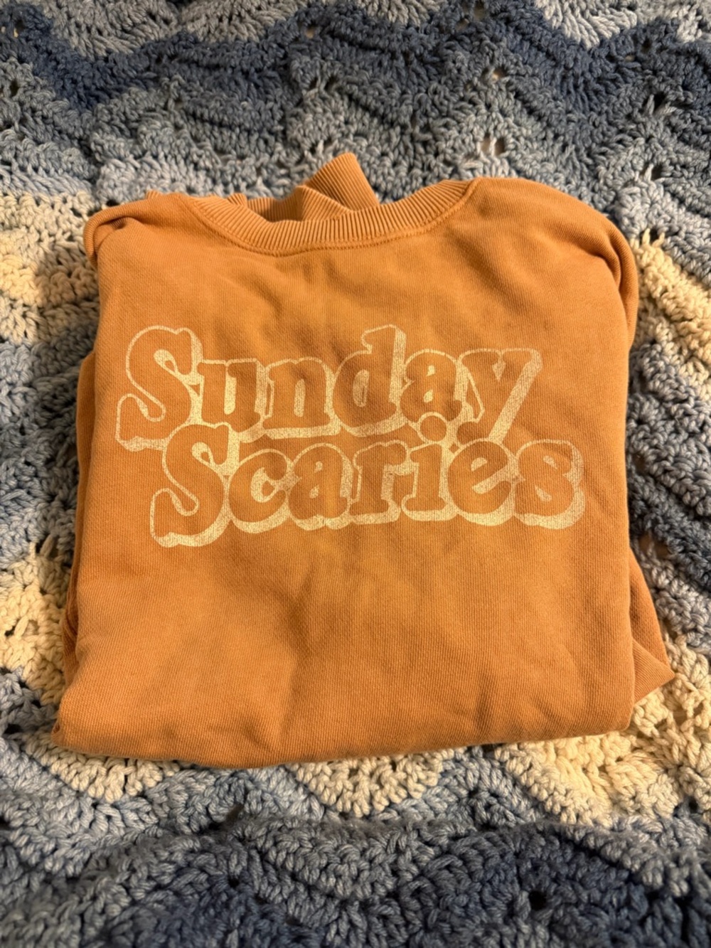 aerie Rust Orange Crewneck Pullover